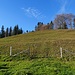 hinauf zum Tössstock durch die Mistwiese