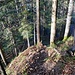 steil hinunter, aber meist trocken
