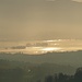Abendstimmung zurück bei Wolfsgrueb