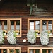 dekorativer Blumenschmuck am modernisierten Bauerhaus