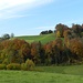hübsche Waldformation zwischen Reckeberg und Lütschi, vis-à-vis des Kappelhüslis