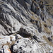 Rückblick über eine flacherer Gratpassage.