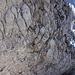 Schlüsselstelle (III-) an der Scharte zwischen Östlicher Hochgrubach und Ackerl. 