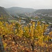 Dieblich und die Mosel