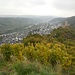 Niederburg, dahinter Kobern-Gondorf