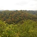 Viel Wald hat es, wenn man in die Eifel blickt