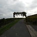 Ein Rebentor über der Strasse