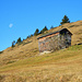 Eine Heupille am Wegesrand
