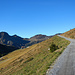 Am Weg zur Oberdamülser Alpe