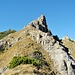 der Ostgratturm wird links der Gratkante über leichte Felsen (I) und steile Schrofen gewonnen (deutlich einfacher als es aussieht)