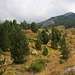 Typische Landschaft der Albanischen Bergwelt.