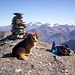 Toto on the S-E summit of Piz Piot. In the background are Piz Bernina, Piz Roseg, Piz Tremoggia and Sassa di Fora. Also Piz La Margna is visible.