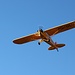 <b>Arriva un Piper J-3 Cub: 6,83 m di lunghezza per 10,76 m di larghezza. Peso a vuoto: 345 kg.<br />Buon volo cucciolo!</b>