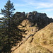 der Weg von der Niedere über den Hasenstrick auf die Winterstaude ist erreicht - und liegt voll in der Sonne :-)