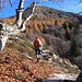 In salita verso Cortone.