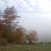Nebel zieht sich bis knapp unter das Bärgrestaurant Allerheiligenberg hoch ...