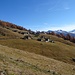 Brischeru