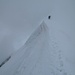Umkehr am Biancograt. Eine kälteresistentere und windsicherere Seilschaft stapft tapfer weiter. Tentative au Piz Bernina la veille.