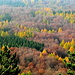 Tolle Herbstfarben am Holenberg (von der Königskanzel aus)
