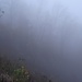 Dichter Nebel.