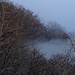 Der Nebel kriecht sichtbar den Hang hoch.