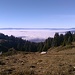 zähe Nebelfelder in den Niederungen, Blick in das Becken um Genf, dahinter die Schweizer Jura