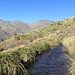 Einer der vielen Wasserkanäle in der Sierra Nevada