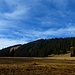 Rückblick