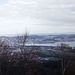 Aussicht vom Üetliberg auf Zürich