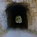 Tunnel im Aufstieg zur Alp Petit Mont.