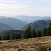 etwas getrübter Blick in den Schwarzwald