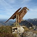 auf dem Geyerhorn