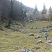 Bei valloncelli sul sentiero "panoramico" per Cornalba.
