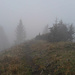 Nebelsuppe unterhalb des Gipfels