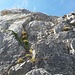 im Abstieg von der Oberstdorfer Hammerspitzen wurden leider einige Metalltritte angebracht... Auch hier vollkommen unnötig
