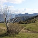 <b>Alpe Spessola</b> con vista su Lecco: che meraviglia!<br />Il termine "spessa" significa bosco.