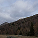 Am Pian di Renten