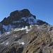 Wildmahdspitze vom Aufstieg zum Muttekopf