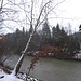 Bäumchen - mit Schnee, oder mit Laub