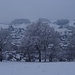 hübsche, verschneite, Baumreihe - vor dem Städtchen Huttwil