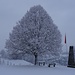 das [http://www.myoberaargau.com/de/freizeit-ausfluge.53/angebote.194/aussichtspunkt-soldatendenkmal-huttwil.2108.html Soldatendenkmal Huttwil] (an die Gefallenen des Zweiten Weltkrieges erinnernd) mit wenig Aussicht, doch malerischem Baum