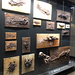 Präparierte Fossilien im Museum in Darmstadt