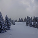 Winterstimmung im Vorarlberg