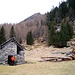 Alpe Marcri / Canva (rifugio non inquadrato in foto)