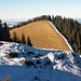 Rückblick zum Vorderen Hörnle 