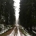 Bescheidenes Wetter...