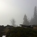 ...am Aussichtspunkt Köpfle ( 1177m )