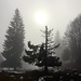 Im Nebel II