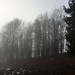 Im Nebel III