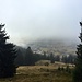 Der Nebel verzieht sich, Blick auf Menzenschwand